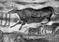 «Корова и лошади». Стенопись в пещере Ласко (Франция). Палеолит.