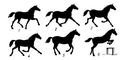 Аллюры: 1 - рысь; 2 - быстрая рысь; 3 - иноходь (опора на правые ноги); 4 - иноходь (фаза свободного висения); 5 - галоп; 6 - прыжок.
