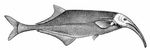 Криворылый гнатонем (Gnathonemus curvirostris).