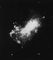Неправильная галактика типа Магеллановых Облаков NGC 4449.