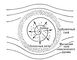 Рис. 4. Схема, иллюстрирующая характер солнечного ветра и структуру регулярного межпланетного магнитного поля (спираль) в области модуляции галактических космических лучей; штриховая окружность — орбита Земли.