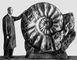 Рис. 3. Гигантский аммонит Pachydiscus из верхнемеловых отложений Западной Европы.