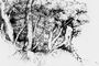 Тициан (Италия). «Группа деревьев». Перо. Ок. 1516-18. Метрополитен-музей. Нью-Йорк.