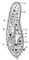 Туфелька (Paramecium caudatum): 1 — реснички; 2 — пищеварительные вакуоли; 3 — микронуклеус; 4 — ротовое отверстие; 5 — глотка; 6 — содержимое анальной вакуоли; 7 — резервуар сократительной вакуоли; 8 — макронуклеус; 9 — трихоцисты.