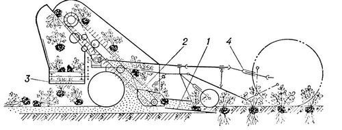 Арахисоуборочная машина (схема работы)