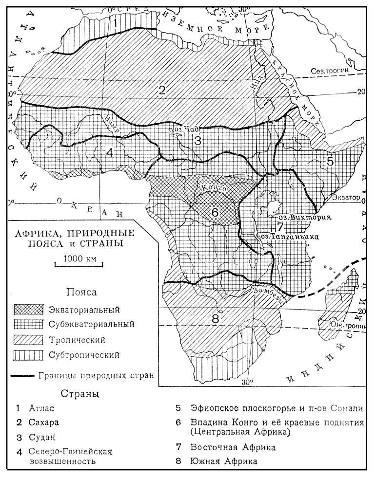 Африка. Природные пояса и страны