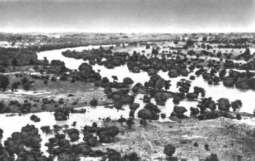 Берега озера Чад в сезон дождей