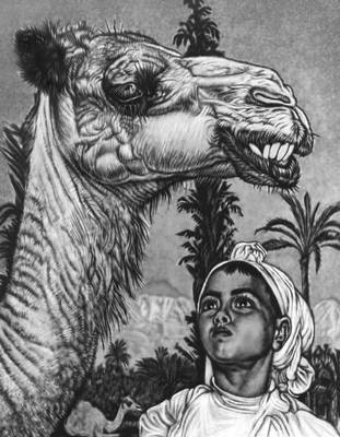 Вийральт Э. «Девочка-берберка с верблюдом»