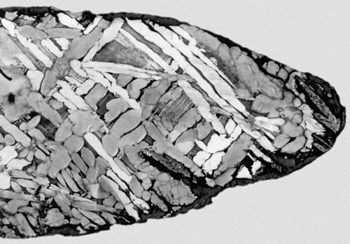 Видманштеттовы фигуры (поверхность метеорита Чабанкол)
