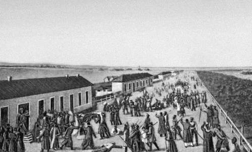 Восстание военных поселенцев в 1831 г.