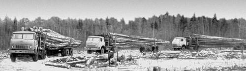 Вывозка древесины (Костромская область)