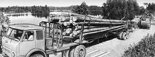 Вывозка древесины (Карельская АССР)