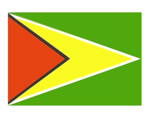 Гайана. Флаг государственный