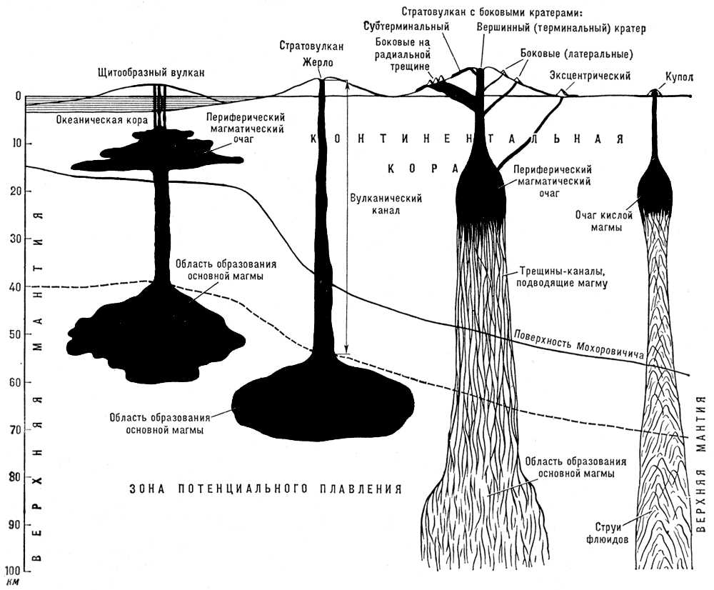 Гипотетические разрезы строения некоторых типов вулканов и их корней