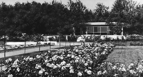 Главный ботанический сад. Розарий и павильон цветов