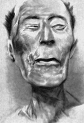 Голова мумии Рамсеса II
