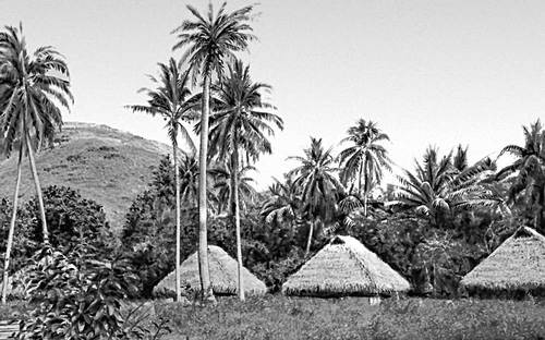 Деревня (остров Таити)