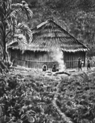 Жилище индейцев хибаро (Экуадор)