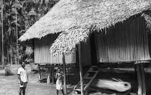 Жилище папуасов (о. Новая Гвинея)