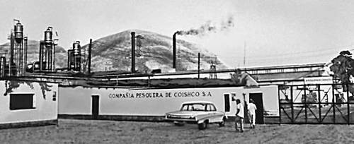 Завод по производству рыбной муки (Перу)