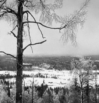 Зимний пейзаж (Финляндия)