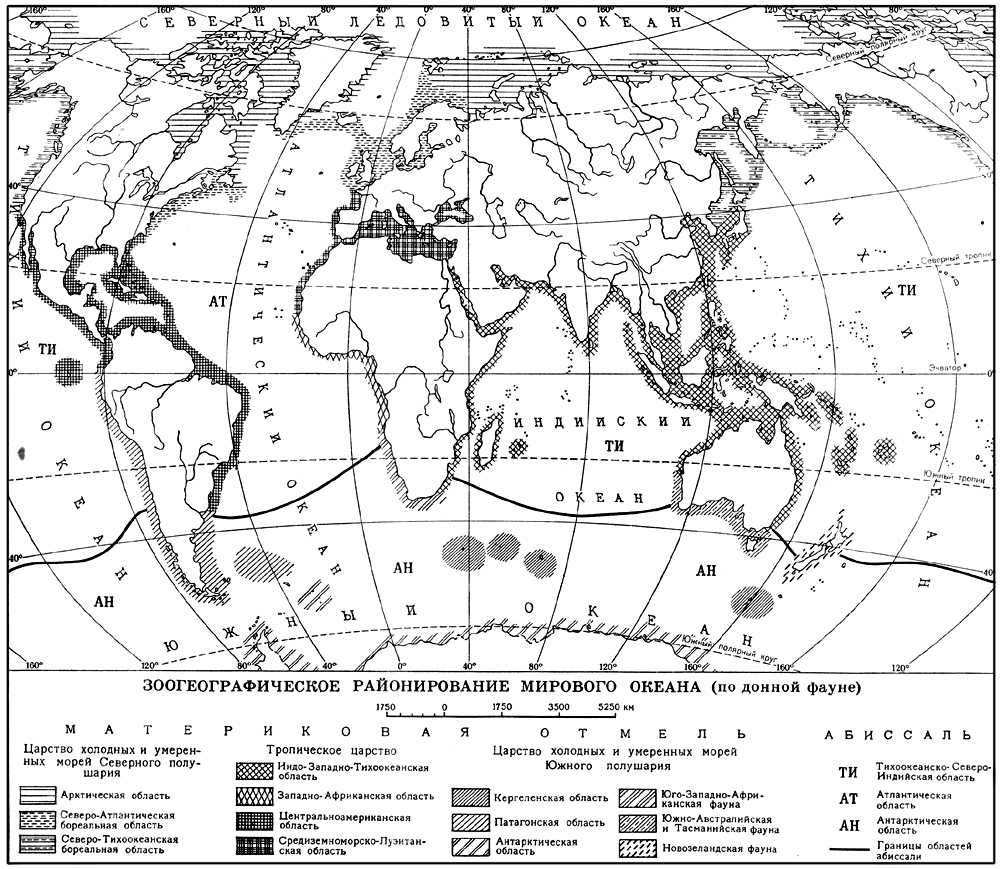 Зоогеографическое районирование Мирового океана (по донной фауне)