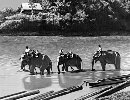 Использование слонов на сплаве тика (Бирма)