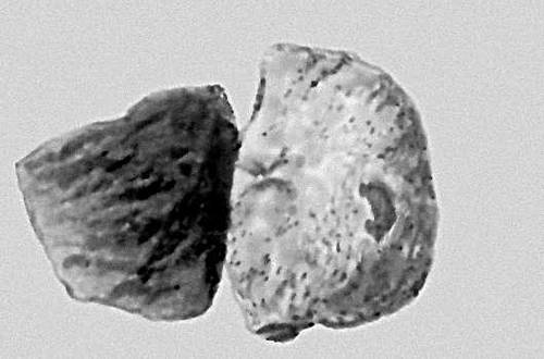 Каменный метеорит Старое Борискино