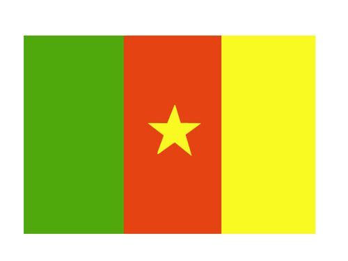 Камерун. Флаг государственный