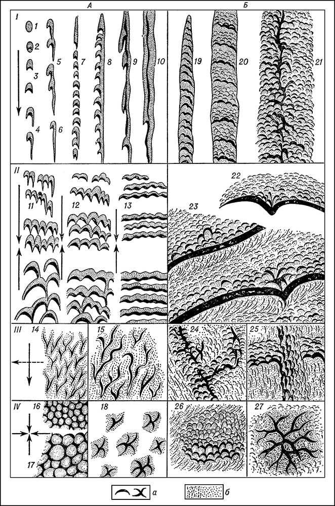 Классификация барханных форм рельефа