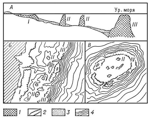 Коралловые сооружения (схема)