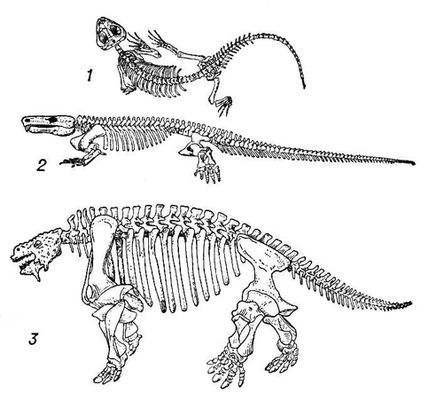 Котилозавры пермского периода