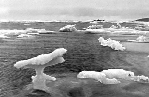 Льды в Беринговом море