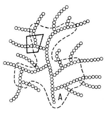 Молекула гликогена (схема)