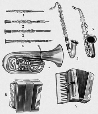 Музыкальные инструменты. Примеры