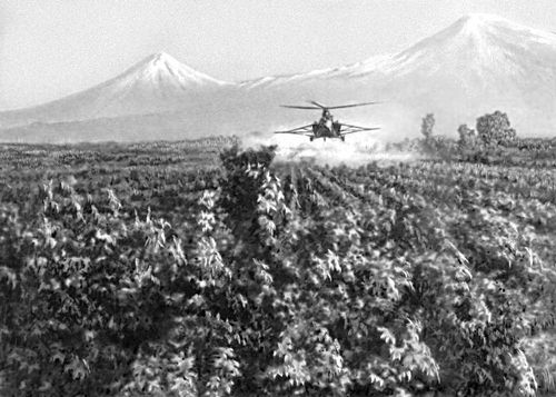 Опыление виноградников (Армения)