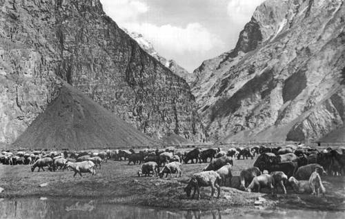Пастбище (Горно-Бадахшанская область)