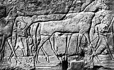 Рельеф храма Амона (Судан)