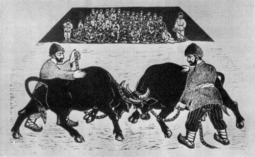 Рзакулиев А. А. «Бой буйволов»