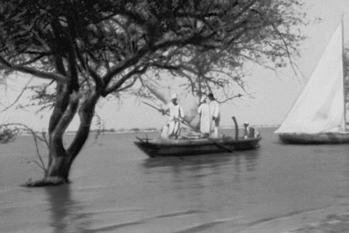 Рыбацкие лодки на Белом Ниле