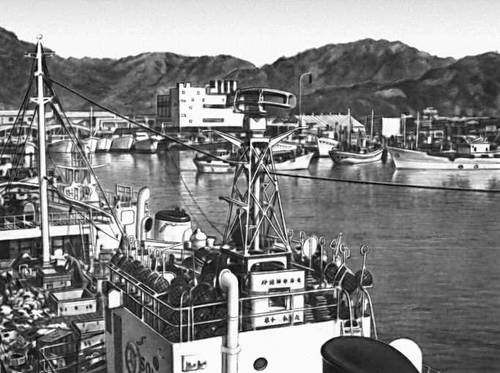 Рыболовные суда в порту Яидзу (о. Хонсю, Япония)