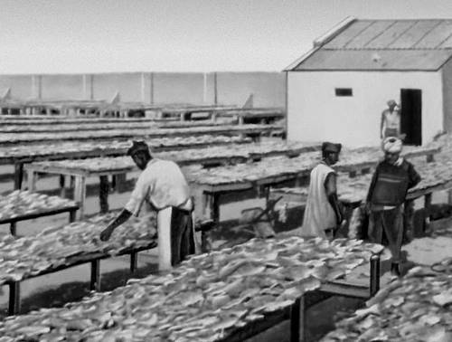 Рыбный завод в г. Нуадибу (Мавритания)