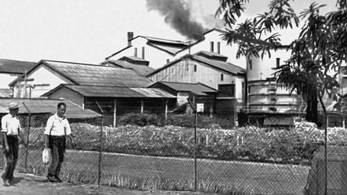 Сахарный завод (Фиджи)
