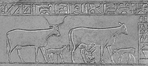 Саркофаг принцессы Кауит (Древний Египет)