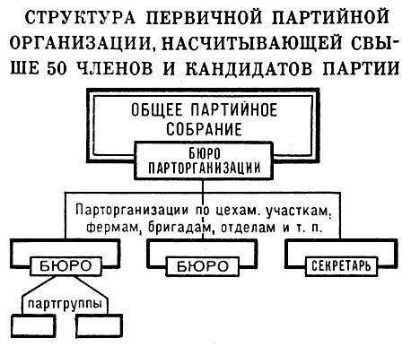 Структура первичной партийной организации