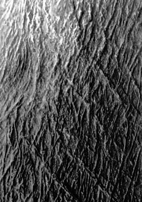 Структура коры плавления (поверхность метеорита Репеев Хутор)