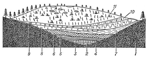 Строение выпуклого болота (схема)