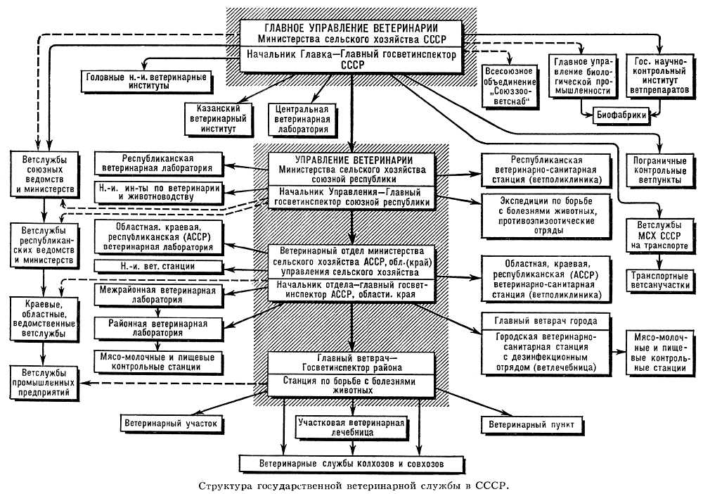 Структура государственной ветеринарной службы в СССР