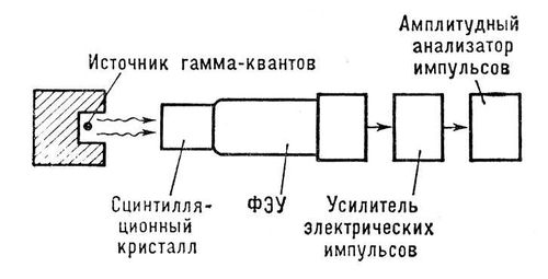 Сцинтилляционный гамма-спектрометр (схема)