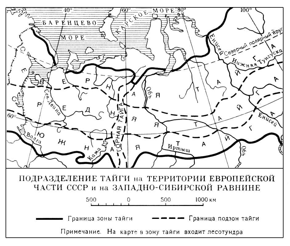 Тайга на территории европейской части СССР и на Западно-Сибирской равнине (карта)